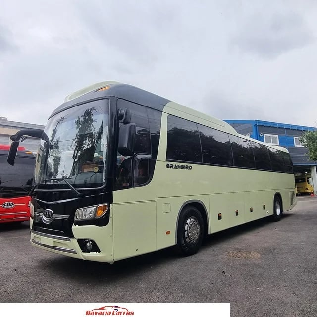 Kia Grandbird 2013 en venta - vista principal