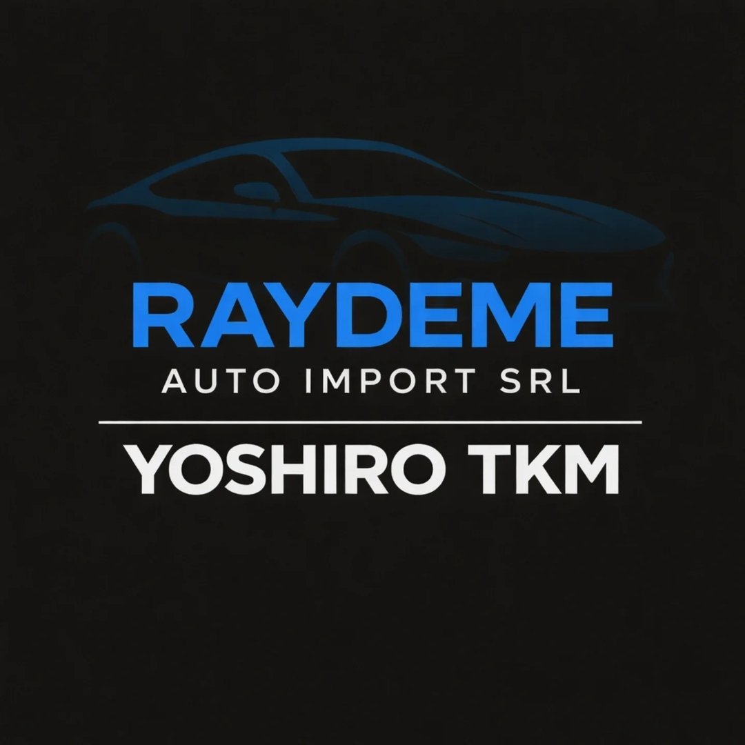 Logo de RAYDEME AUTO IMPORT — dealer de vehículos en República Dominicana