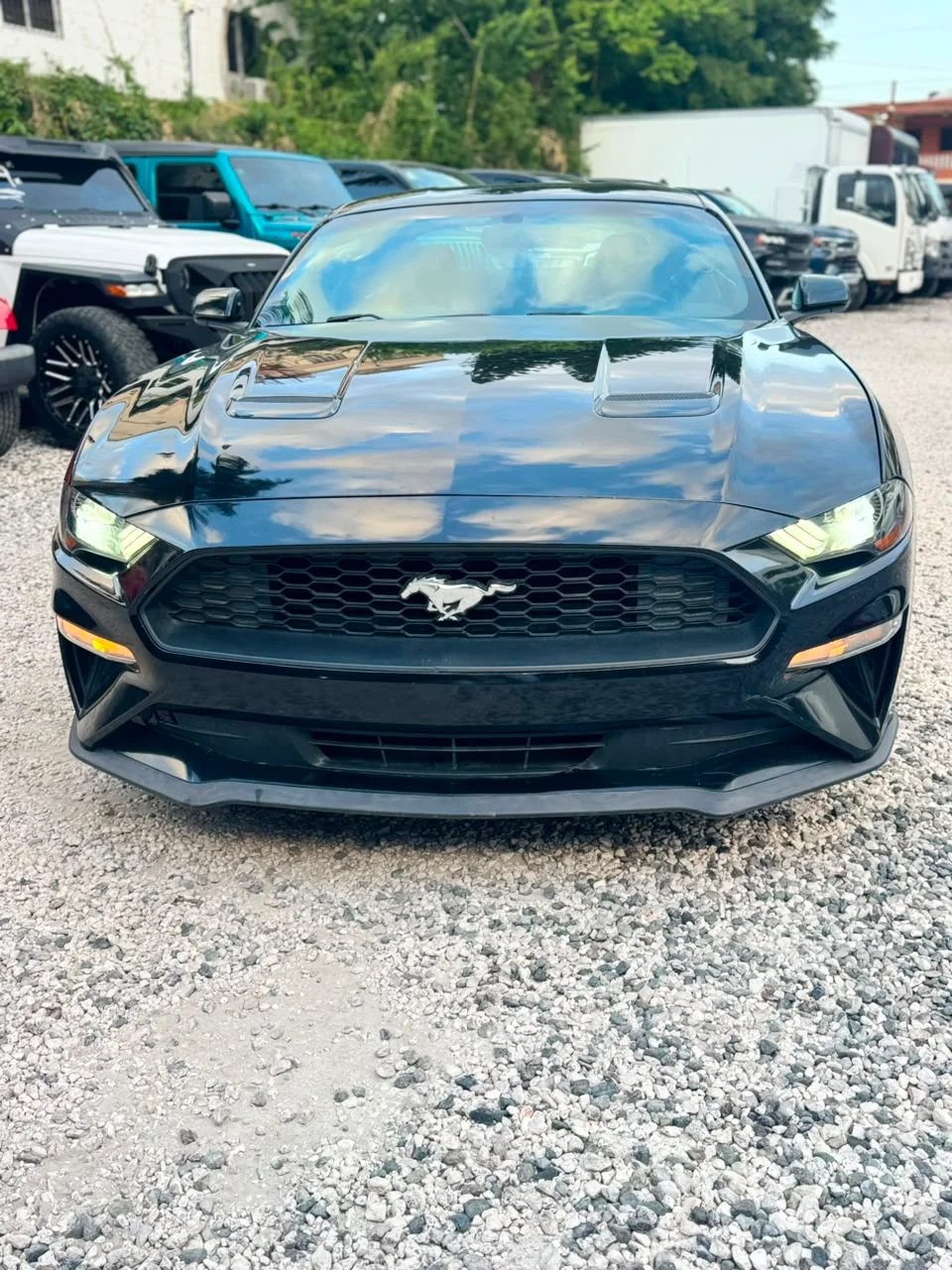 Ford Mustang Ecoboost 2019 - foto 2 de 11