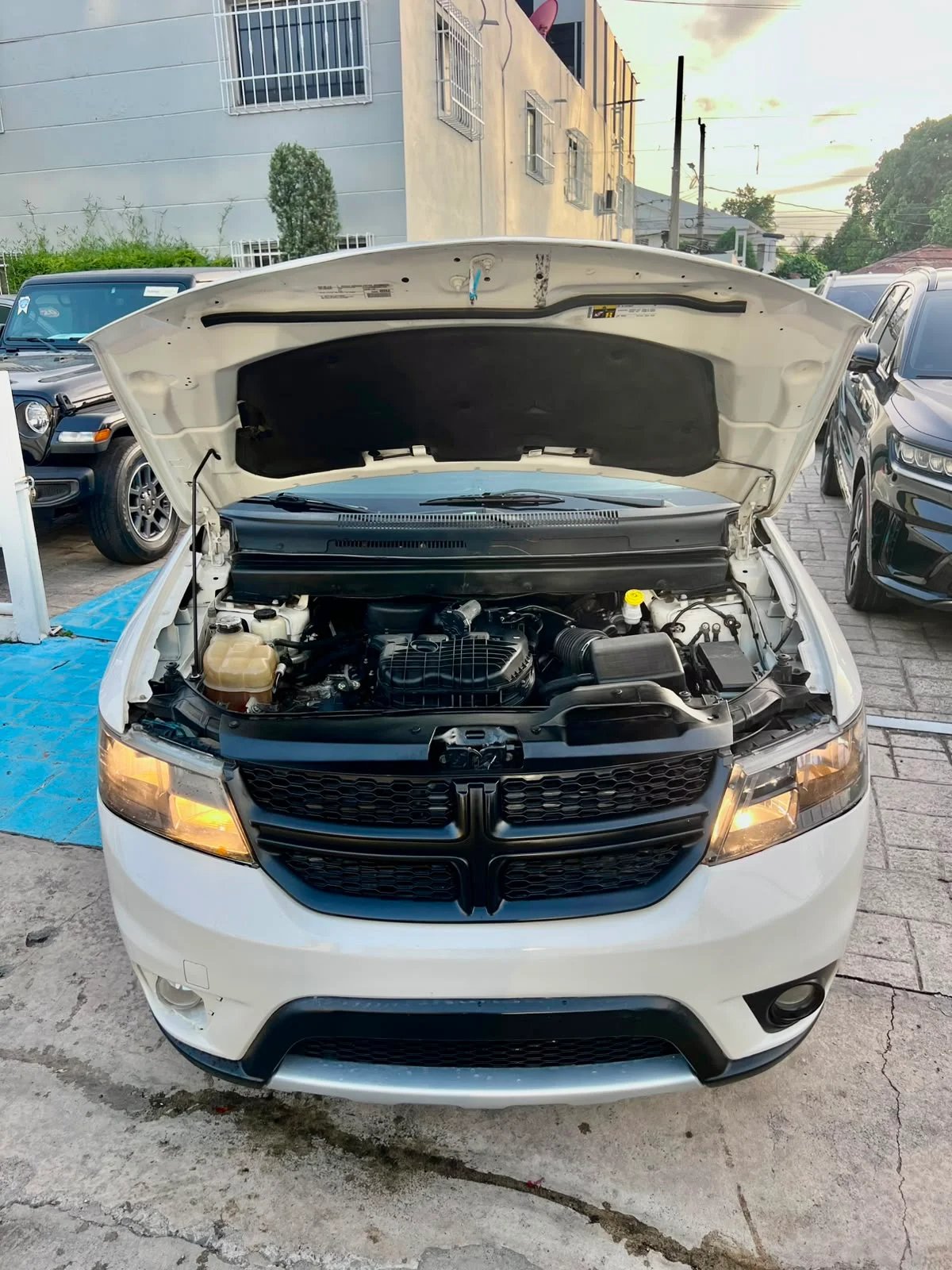 Dodge Journey GT, GT Rallye 2019 - foto 13 de 13