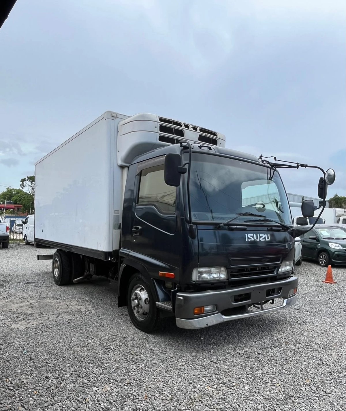 Isuzu Camion Refrigerado 2006 en venta - vista principal
