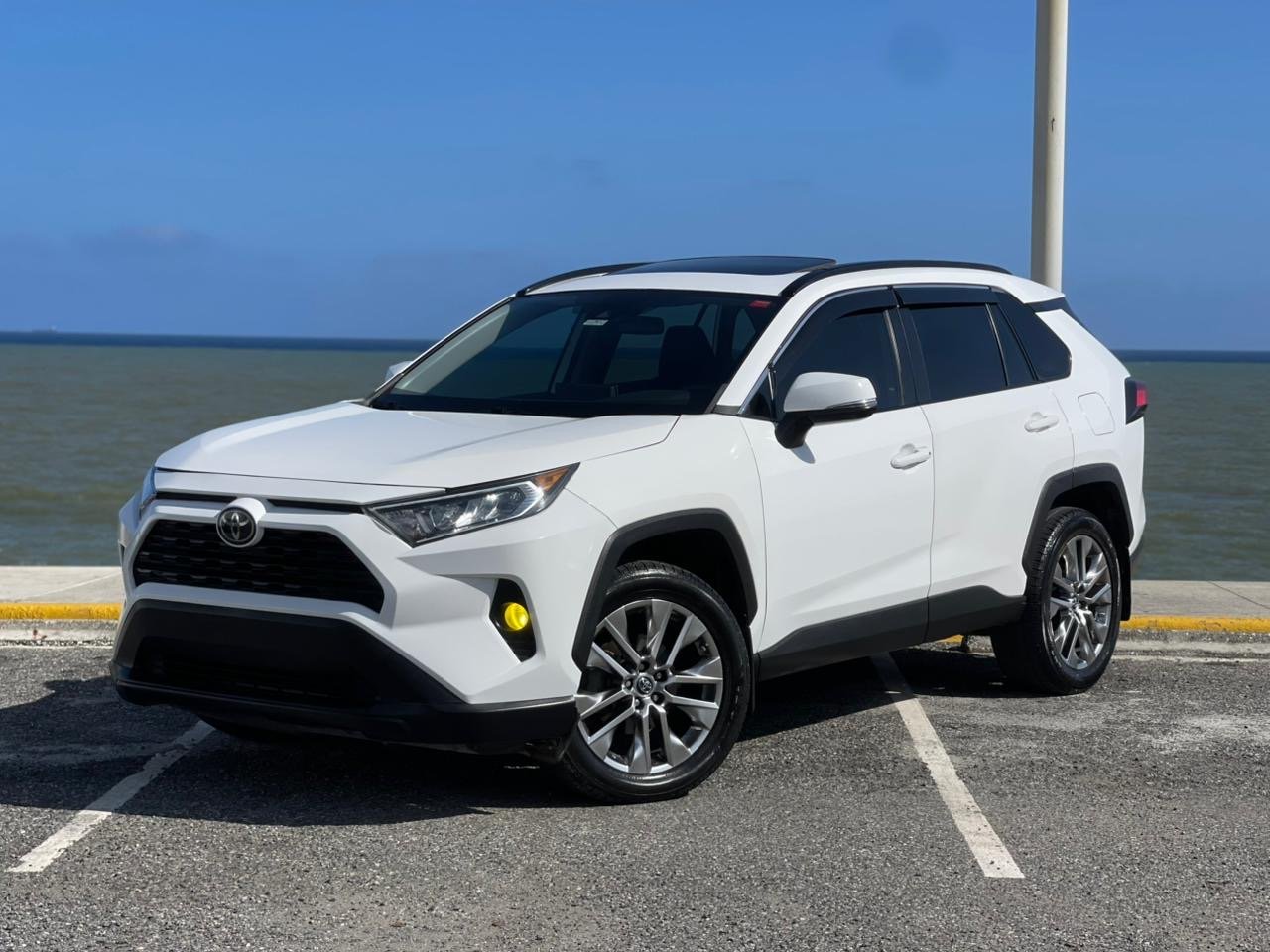 Toyota RAV4 XLE Premium 2019 en venta - vista principal
