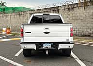 Ford F-150 Styleside 2010 - miniatura 5
