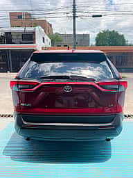 Toyota RAV4 LE 2025 - miniatura 4