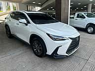 Lexus NX 350 Hybrid 2024 - miniatura 2