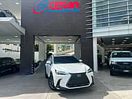 Lexus NX 350 Hybrid 2024 - miniatura 1