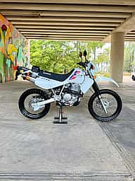 Honda XR 650L 2025 - miniatura 5