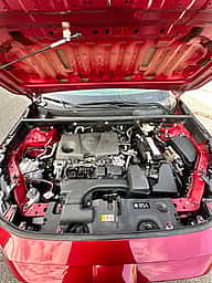 Toyota RAV4 LE PLUS 2024 - miniatura 5