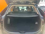 Toyota RAV4 XLE Premium 2024 - miniatura 8