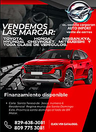 CCCASTILLO CORPORAN AUTOTIMPORT