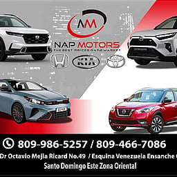 NAP MOTORS