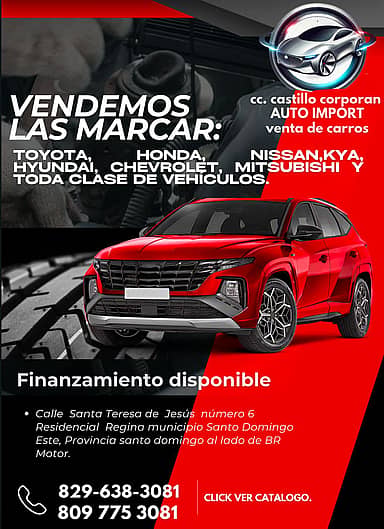 CC CASTILLO CORPORAN AUTO IMPORT