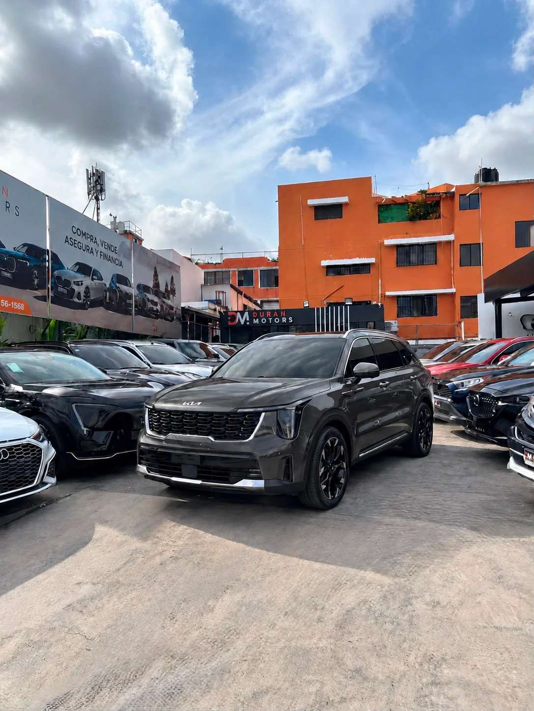 2025 Kia Sorento MQ4 Limited usado en venta por Vicents Auto Luxury