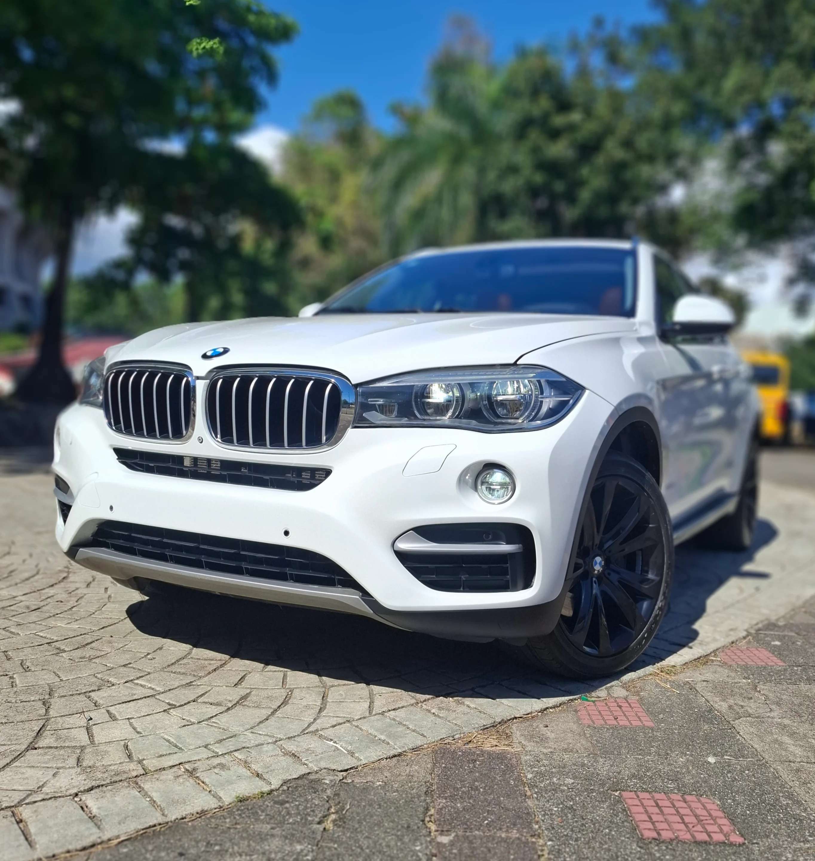 2015 BMW X6 M50i usado en venta por AJ Auto Import 