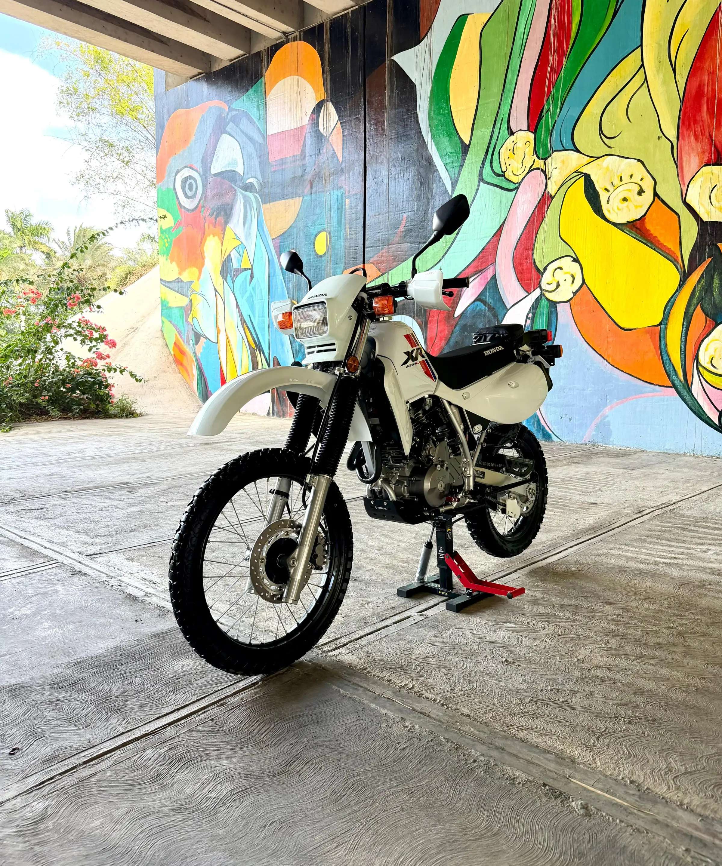 2025 Honda XR 650L usado en venta por Veras Auto EBauto Group RD