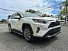Toyota RAV4 XLE 2020 - miniatura 2