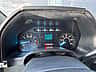 Ford F 150 Flexfuel V8 2019 - miniatura 10