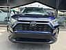 Toyota RAV4 XLE Premium 2019 - miniatura 3