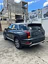Hyundai Palisade SEL 2022 - miniatura 2