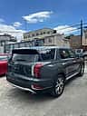 Hyundai Palisade SEL 2022 - miniatura 3
