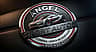 Angel Sport Auto