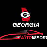 Georgia State Auto Import 