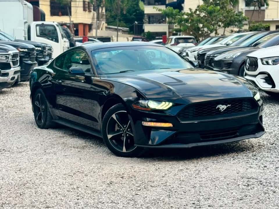 2019 Ford Mustang Ecoboost usado en venta por FADIR AUTO GROUP 