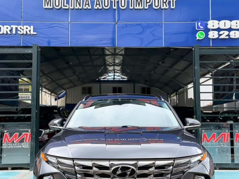 2022 Hyundai Tucson LIMITED usado en venta por Molina Auto Import