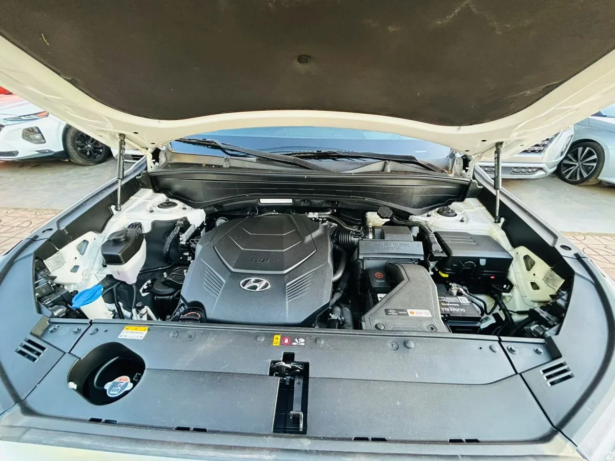 Hyundai Palisade Limited 2021 - Imagen 11